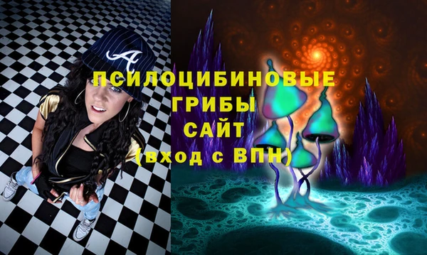 ешки Алексеевка