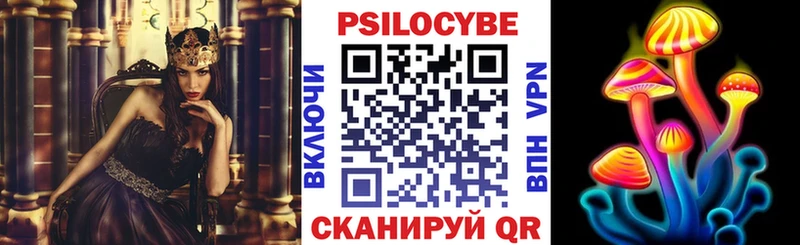 KRAKEN зеркало  Ревда  Псилоцибиновые грибы прущие грибы  где найти  